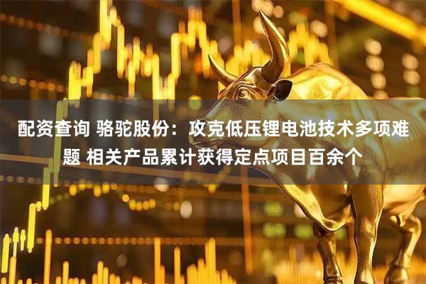 配资查询 骆驼股份：攻克低压锂电池技术多项难题 相关产品累计获得定点项目百余个